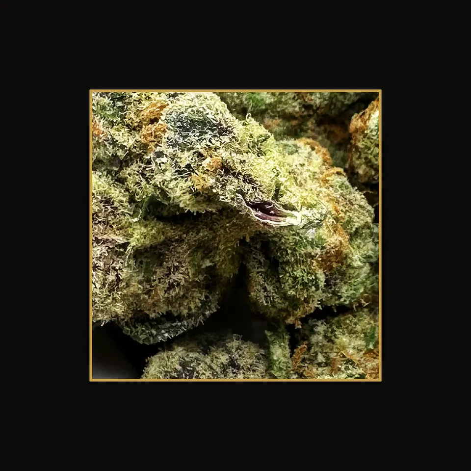 Cherry Cream Float THC flower (hemp THCA), indoor, spotlit on black