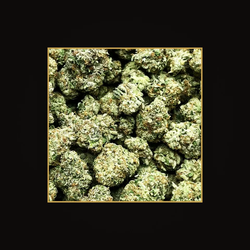 Lemon Mintz THC flower (hemp THCA), indoor, spotlit on black