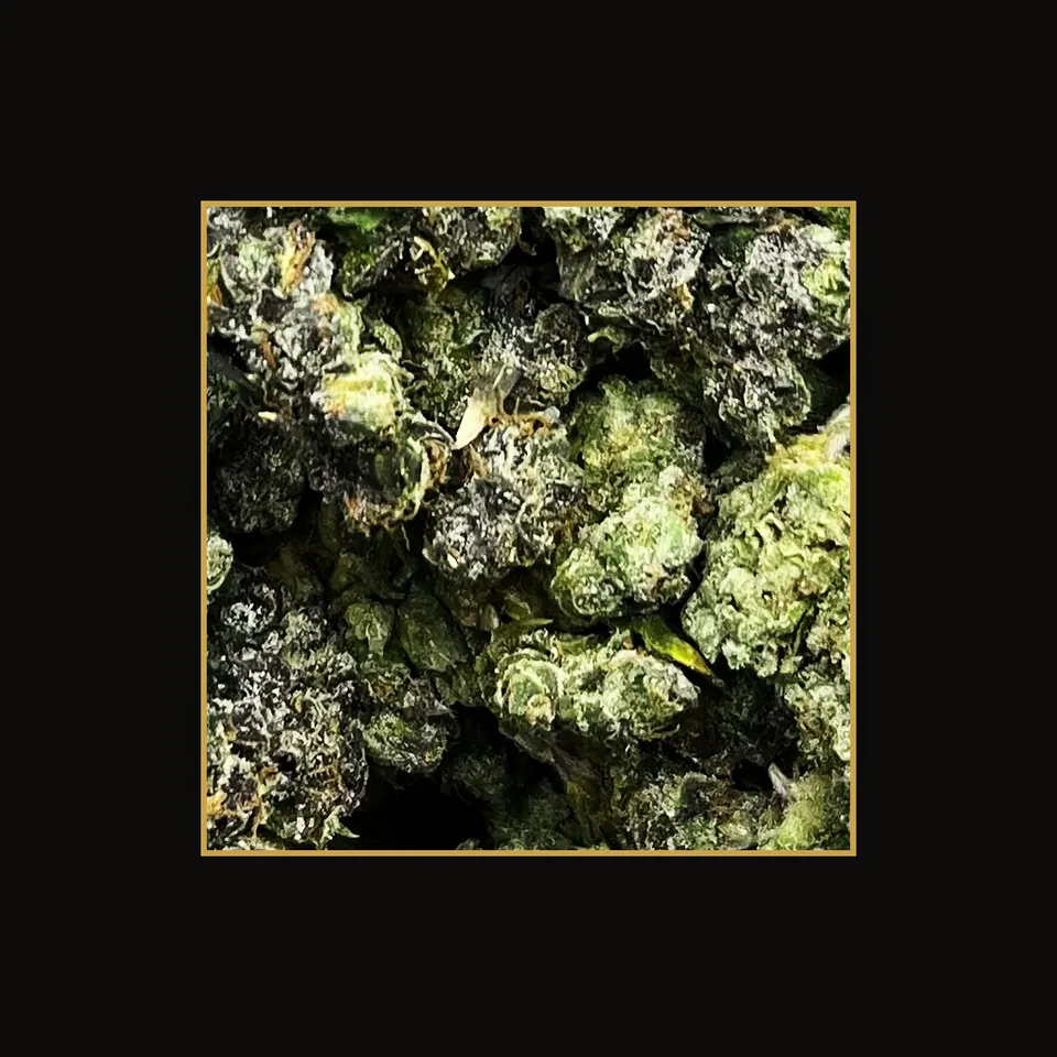 MOB THC flower (hemp THCA), indoor, spotlit on black
